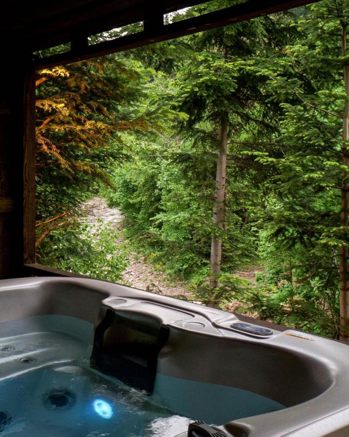 Novosiele Residence - Nad Gorska Rzeka - Lesne Spa Sauna Jacuzzi - Bieszczady Bystre  Exteriér fotografie