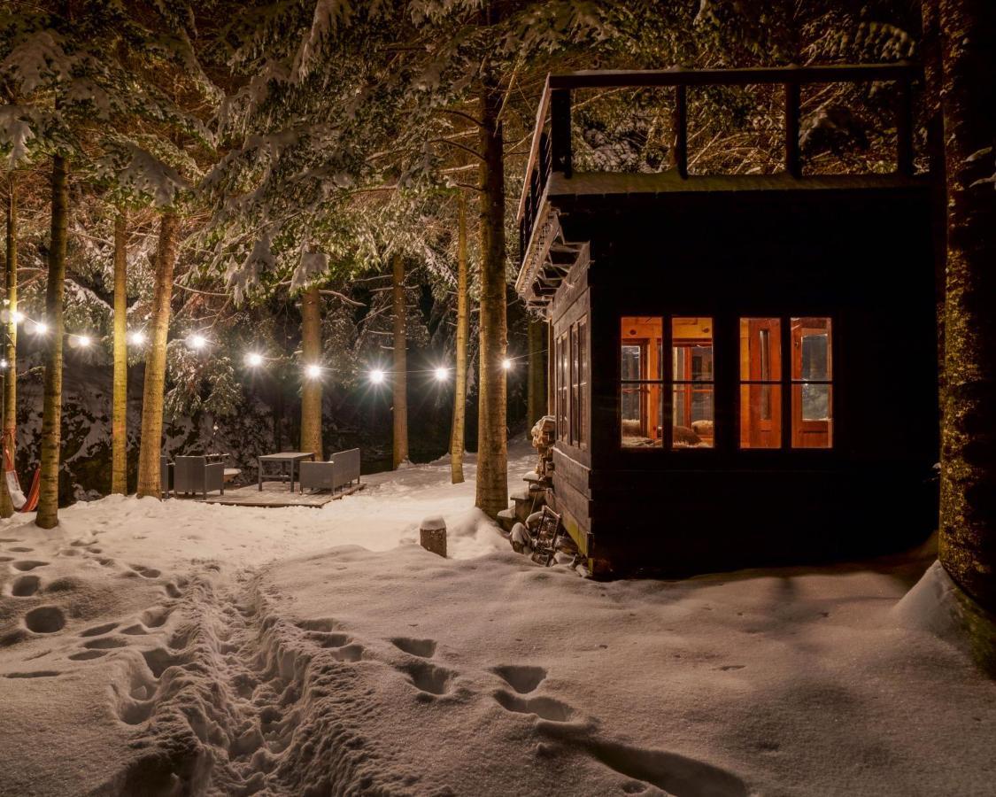 Novosiele Residence - Nad Gorska Rzeka - Lesne Spa Sauna Jacuzzi - Bieszczady Bystre  Exteriér fotografie